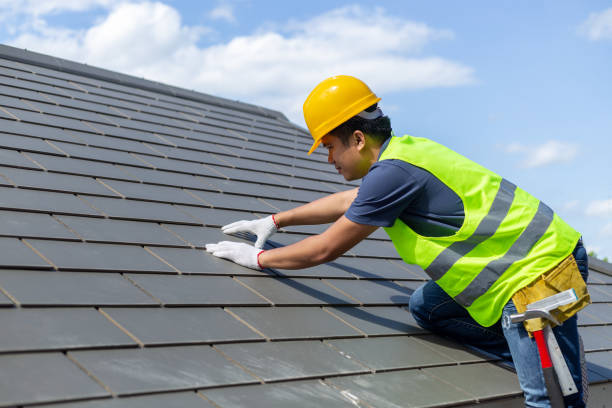 Best Shingle Roofing Installation  in Inez, TX