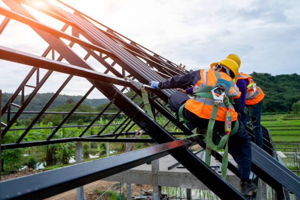 Best Roof Gutter Cleaning  in Inez, TX