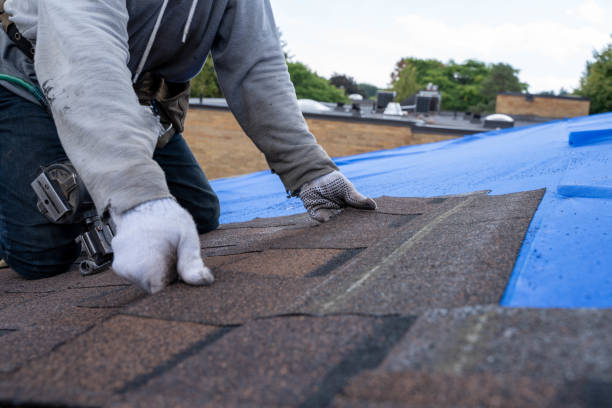 Best Residential Roofing Contractor  in Inez, TX