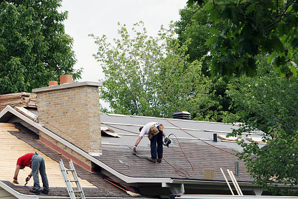 Best Roof Gutter Cleaning  in Inez, TX